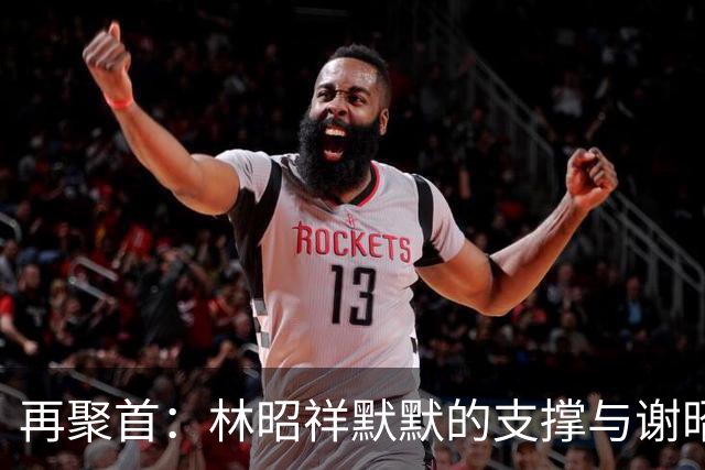再聚首：林昭祥默默的支撑与谢昭求娶林绣芄的背后真相